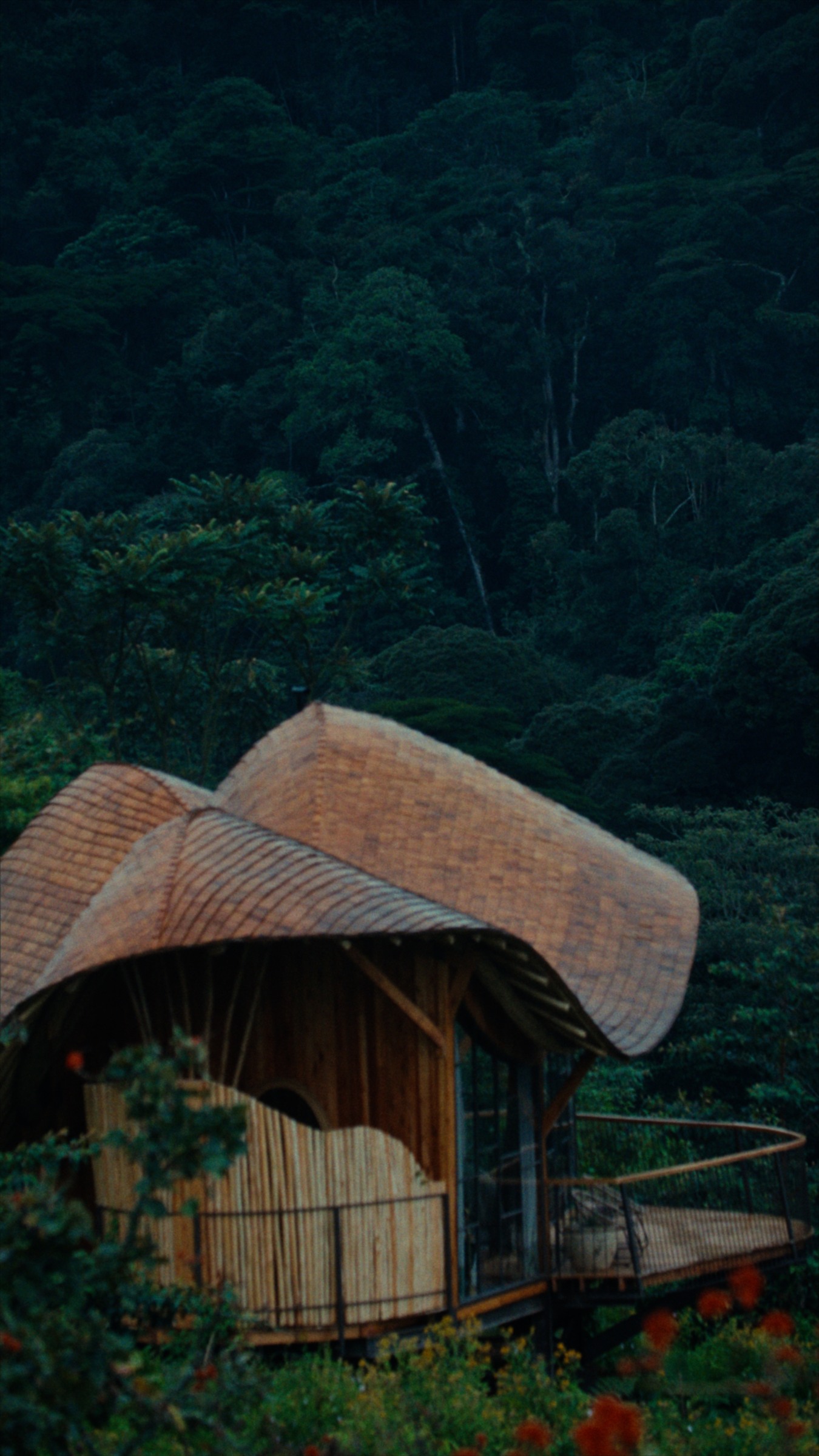 A forest suite tucked into the hillside at Erebero Hills.