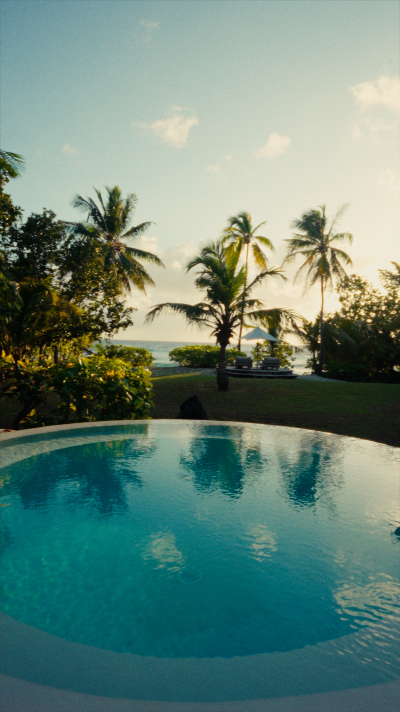 The pool framed by palms at North Island.