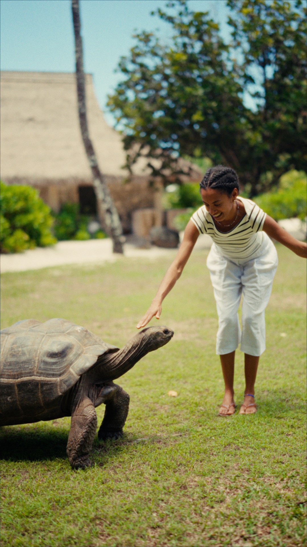Yaye meets a giant tortoise at North Island